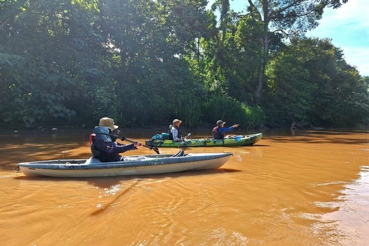 Mangrove Kayak - near Sámara & Carrillo Beach - Photo 1 of 4